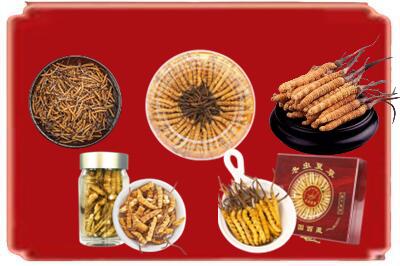 玉溪新平县烟酒回收各种虫草.jpg
